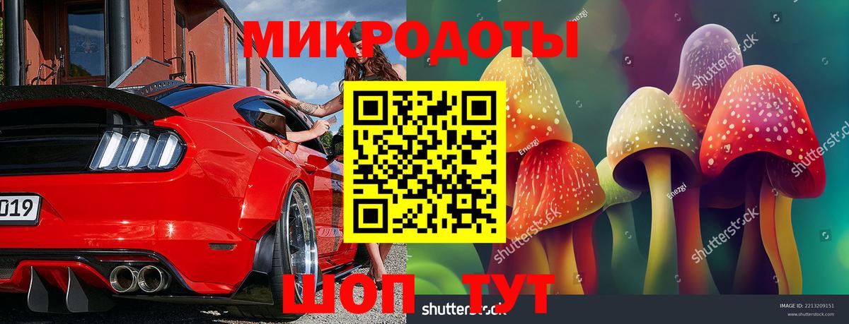 Галлюциногенные грибы Psilocybe  Вход с VPN  Мегион 